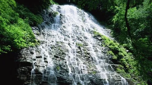 高端环保高效